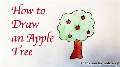 Apple Tree Drawing Kids