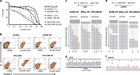 Waldenstrom macroglobulinemia cells devoid of BTKC481S or CXCR4WHIM-like mutations acquire ...