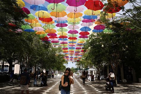 Umbrella Sky Project in Coral Gables - Sun Sentinel