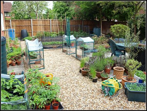 Mark's Veg Plot: Mark's Veg Plot in May