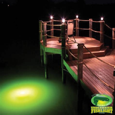 Extra Bright Double Dock Lights by Underwater Fish Light