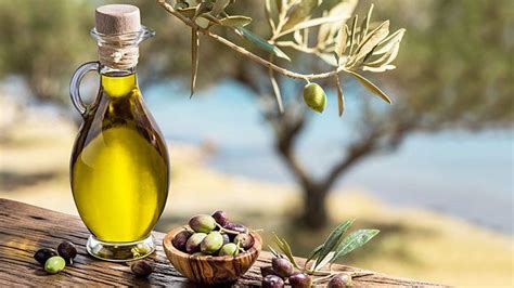 Different types of Olive Oil and their uses - Prakati India