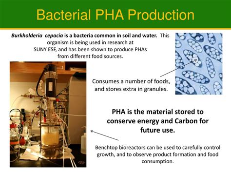 PPT - Use of Biodiesel Waste Glycerol in the Bacterial Production of Polyhydroxyalkanoate (PHA ...