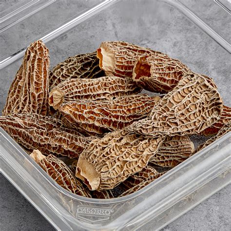 Dried Morel Mushrooms (16 oz.) - Sold at WebstaurantStore