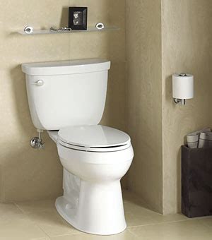 Kohler Cimarron toilet review, Owner comments and pictures | Terry Love ...