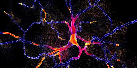 Parkinson's: Targeting new compound slows disease in rats