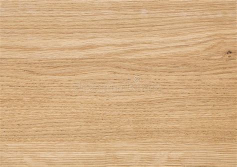 Bright wood texture stock photo. Image of surface, natural - 64096736