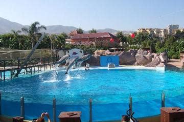 The Top 5 Things To Do in Costa del Sol | Attractions & Activities