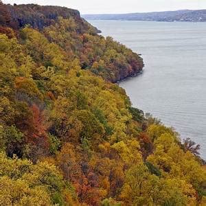 Fall Foliage on the New Jersey Palisades Photograph by Lilliana Mendez ...