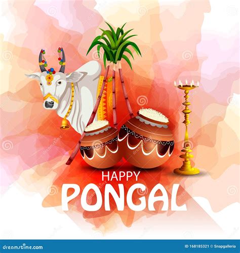 Happy Pongal Festival of Tamil Nadu India Background Stock Vector ...