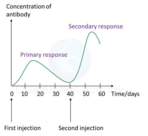 artificial passive immunity graph - Neil Cornish