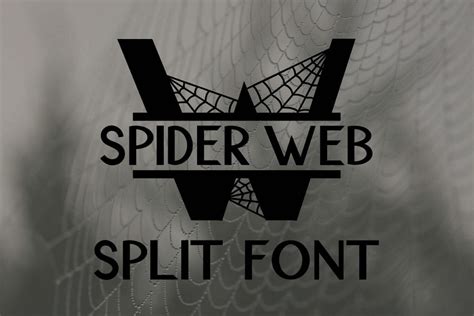 Spider Web Split Font - A Monogram Font | Monogram fonts, Free monogram fonts, Halloween monogram