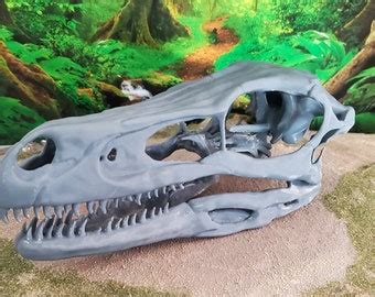 Velociraptor Skull - Etsy