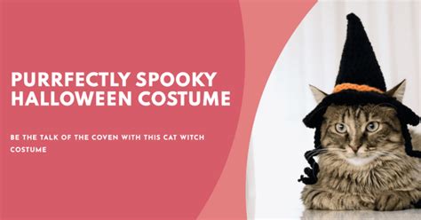 10 Adorable Cat Halloween Costumes - BEACONPET