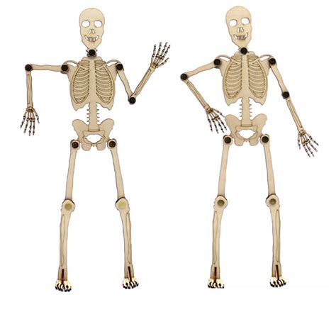 Bộ sưu tập hình xương người cực chất full 4K có hơn 999+ mẫu ảnh
