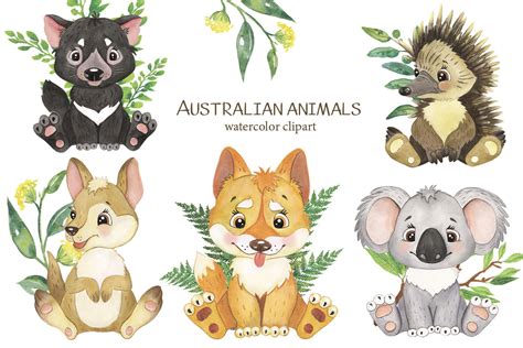 Australian Animal Clipart