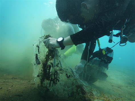 Marine Conservation - Instructor Development Philippines