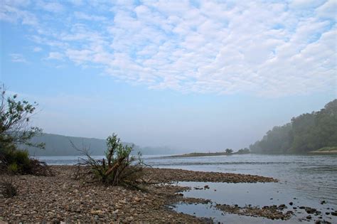 WWF lenkt bei Flussbau ein - Gänserndorf