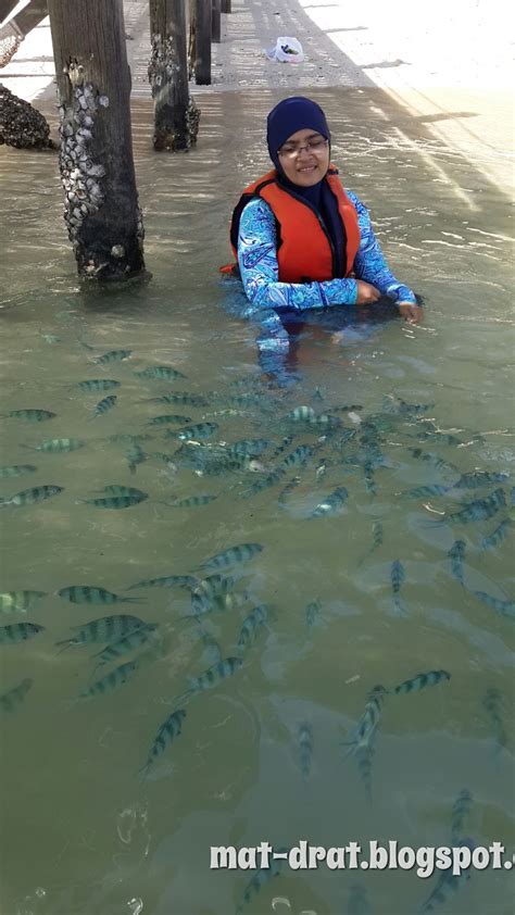 MAT DRAT: Snorkeling di Pulau Sapi, Pulau Manukan dan Pulau Mamuntik ...