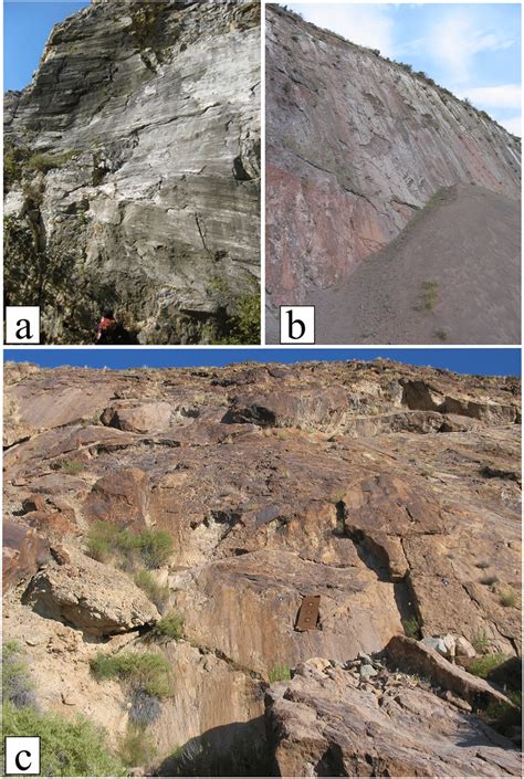 Examples of fault surfaces geometry in three outcrops. (a) Striated and ...