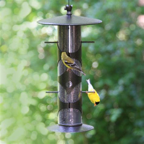 Upside Down Goldfinch Bird Feeder | Finch feeders, Bird feeders, Glass hummingbird feeders