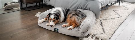 Serta® Pet Beds - Serta Pet Beds