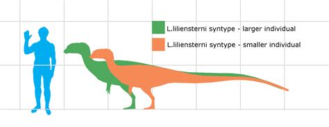 Liliensternus | Ancient Animals Wiki | Fandom