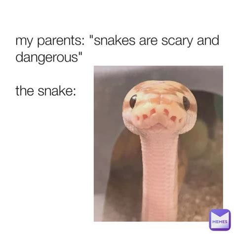 my parents: "snakes are scary and dangerous" the snake: | @LunaLovegoodSimpThatShiftsForHer | Memes