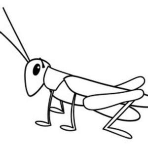 grasshopper clipart black and white 10 free Cliparts | Download images on Clipground 2024