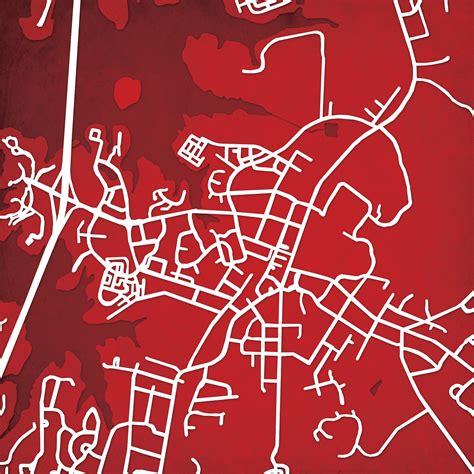 Davidson College Campus Map Art - City Prints