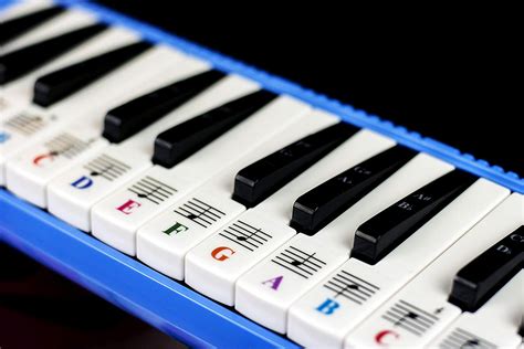 Piano Stickers for 32 Key Melodica-Transparent and Removable – Quality ...