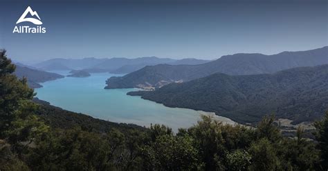 10 Best trails and hikes in Marlborough | AllTrails