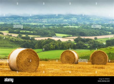 Straw bales hi-res stock photography and images - Alamy