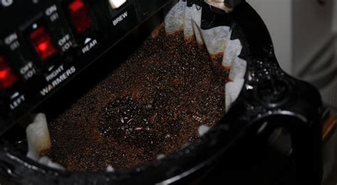 Using Coffee Grounds As Fertilizer - Solar Innovations®