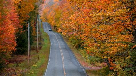 #1 BEST Place for Fall Colors in Michigan Near Bay City