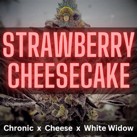 Indulge In The Sweet Love | Strawberry Cheesecake Strain - Cartier Crops