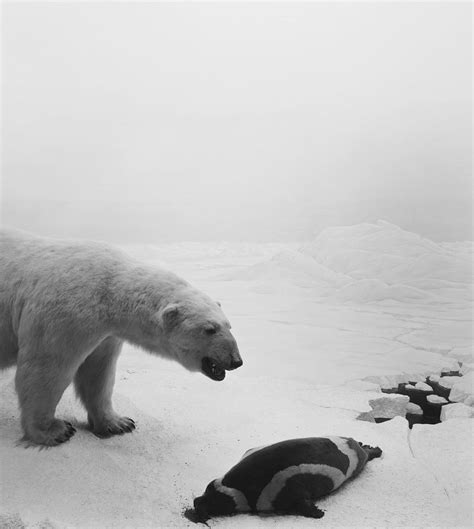 Hiroshi Sugimoto: Dioramas | MONOVISIONS - Black & White Photography Magazine