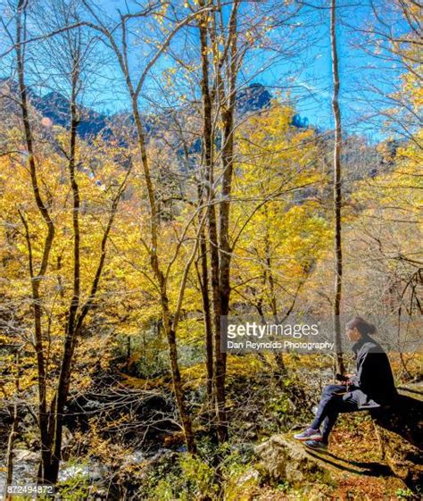 137 Woman Hiking Appalachian Trail Stock Photos, High-Res Pictures, and ...