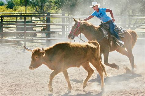 Photos of White Stallion Ranch horse ride in USA