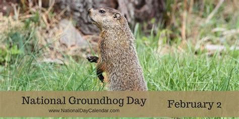 NATIONAL GROUNDHOG DAY - February 2 in 2023 | Groundhog day, National day calendar, Groundhog