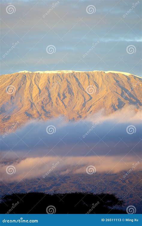 Top of Kilimanjaro Mountain in the Sunrise Stock Image - Image of beauty, peak: 26511113