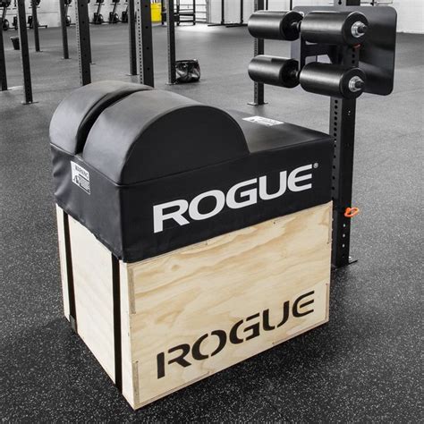 Rogue 3x3 Echo GHD | No equipment workout, At home gym, Crossfit equipment