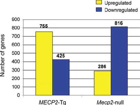 Studies of cerebellar gene expression changes in MECP2 -Tg and Mecp2 ...