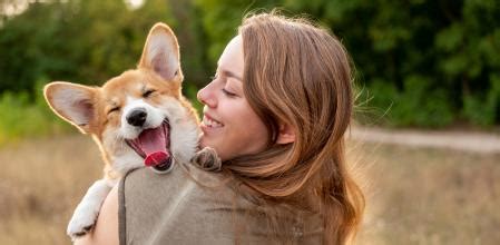 Cómo puedes saber si tu perro es feliz