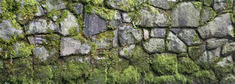 Texturex Large High Def Stone Wall Moss Growth Texture - Texture X