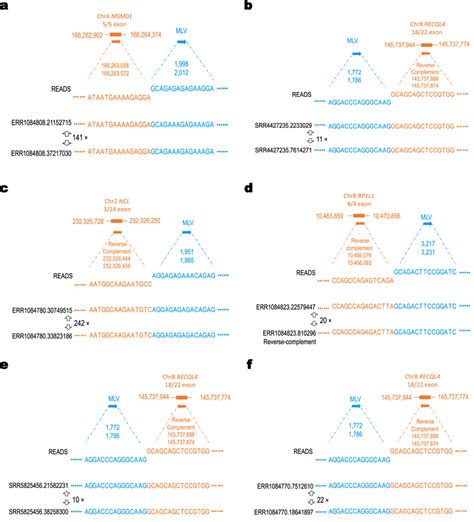 Chimeric sequence reads containing both viral (blue) and human (orange)... | Download Scientific ...