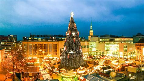 Top 20 Most Beautiful Christmas Trees in the World