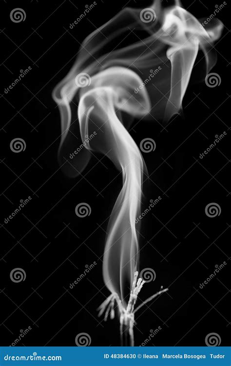 Smoke Shapes on Black Background Stock Photo - Image of colorful, light: 48384630