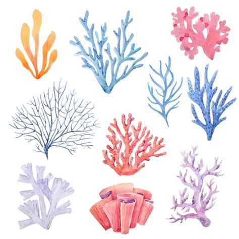 Watercolor Coral Set Wall Mural, Style Themed Premium Canvas Wall Art, Standard Peel & Stick ...