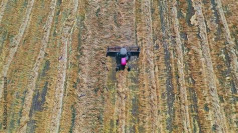 Harvesting machine working in the field. One red combine harvest wheat in the field. Aerial view ...